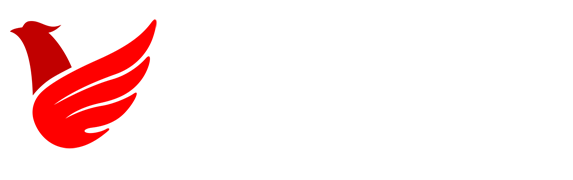 彩经网